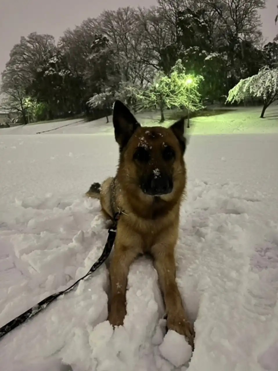 プライベートの写真