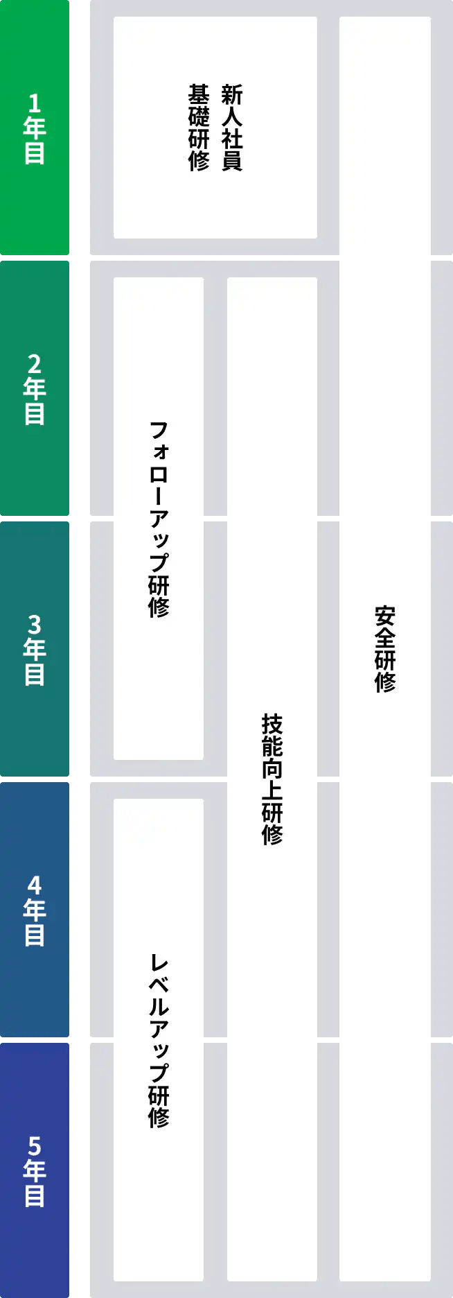 5年目までの研修イメージ